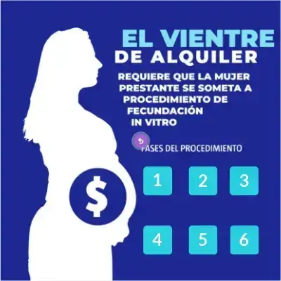 Alquilar un vientre en Ecuador cuesta unos $ 20 mil