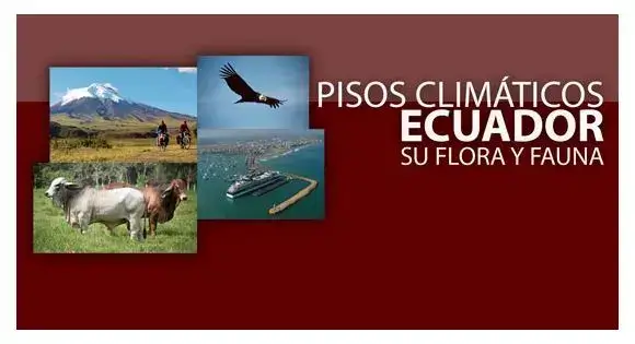 Pisos Climáticos del Ecuador – Flora y fauna