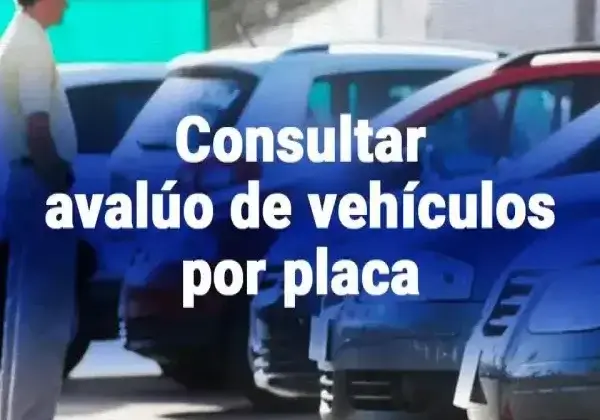 Consultar avalúo vehicular por placa en Ecuador