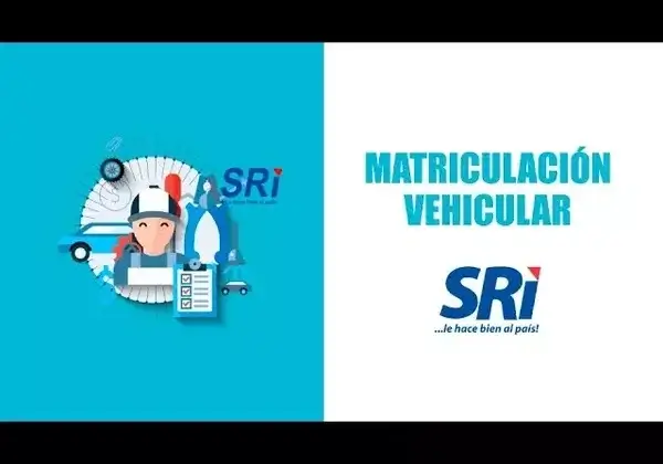 Consultar valor a pagar matrícula vehicular SRI